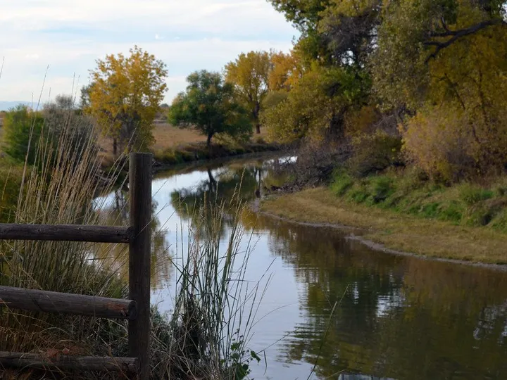 The Cache la Poudre River seen from the paved Poudre River Trail